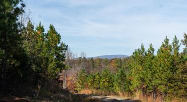 TBD POUNDING CREEK RD, CHARLOTTESVILLE, Virginia 22903, ,Land,TBD POUNDING CREEK RD,658398 MLS # 658398