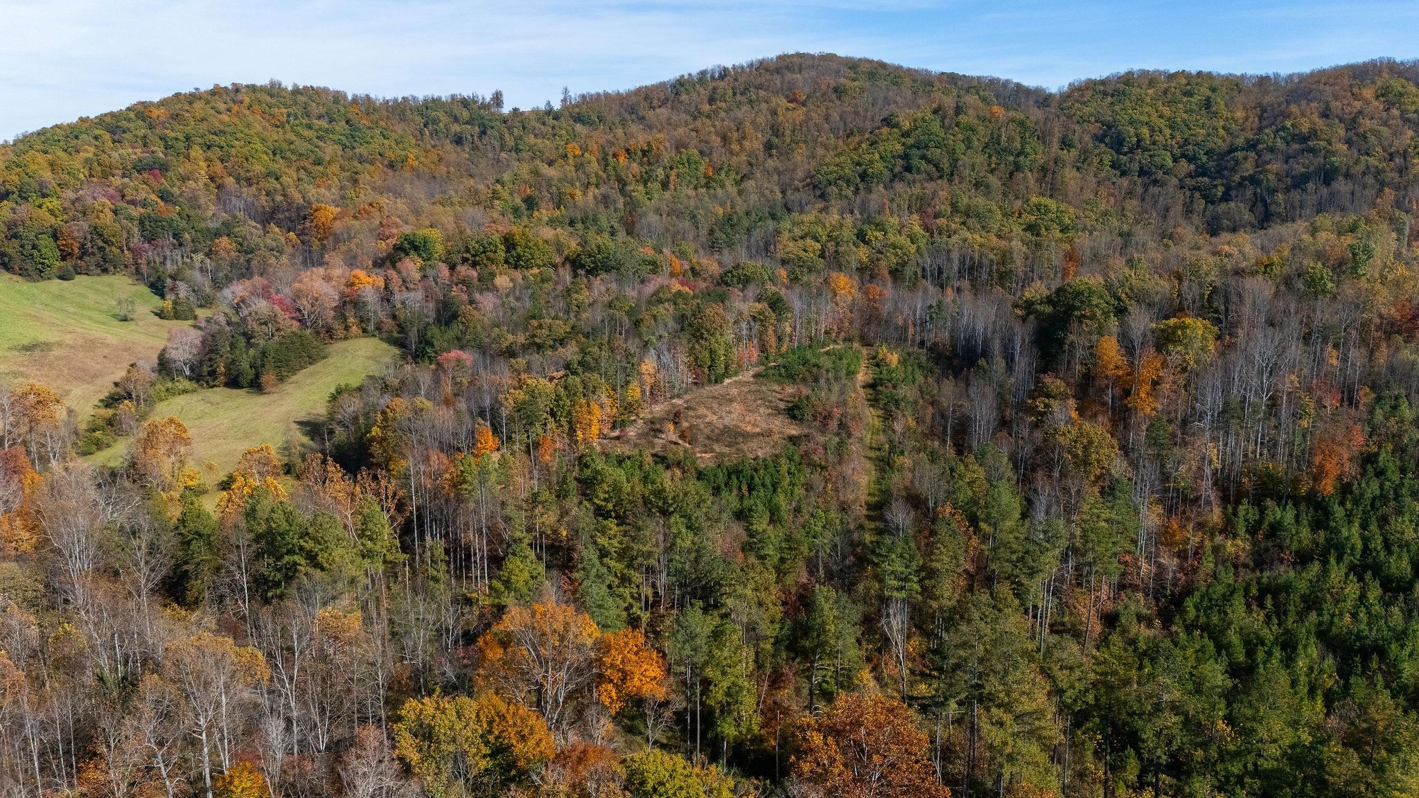 TBD POUNDING CREEK RD, CHARLOTTESVILLE, Virginia 22903, ,Land,TBD POUNDING CREEK RD,658399 MLS # 658399