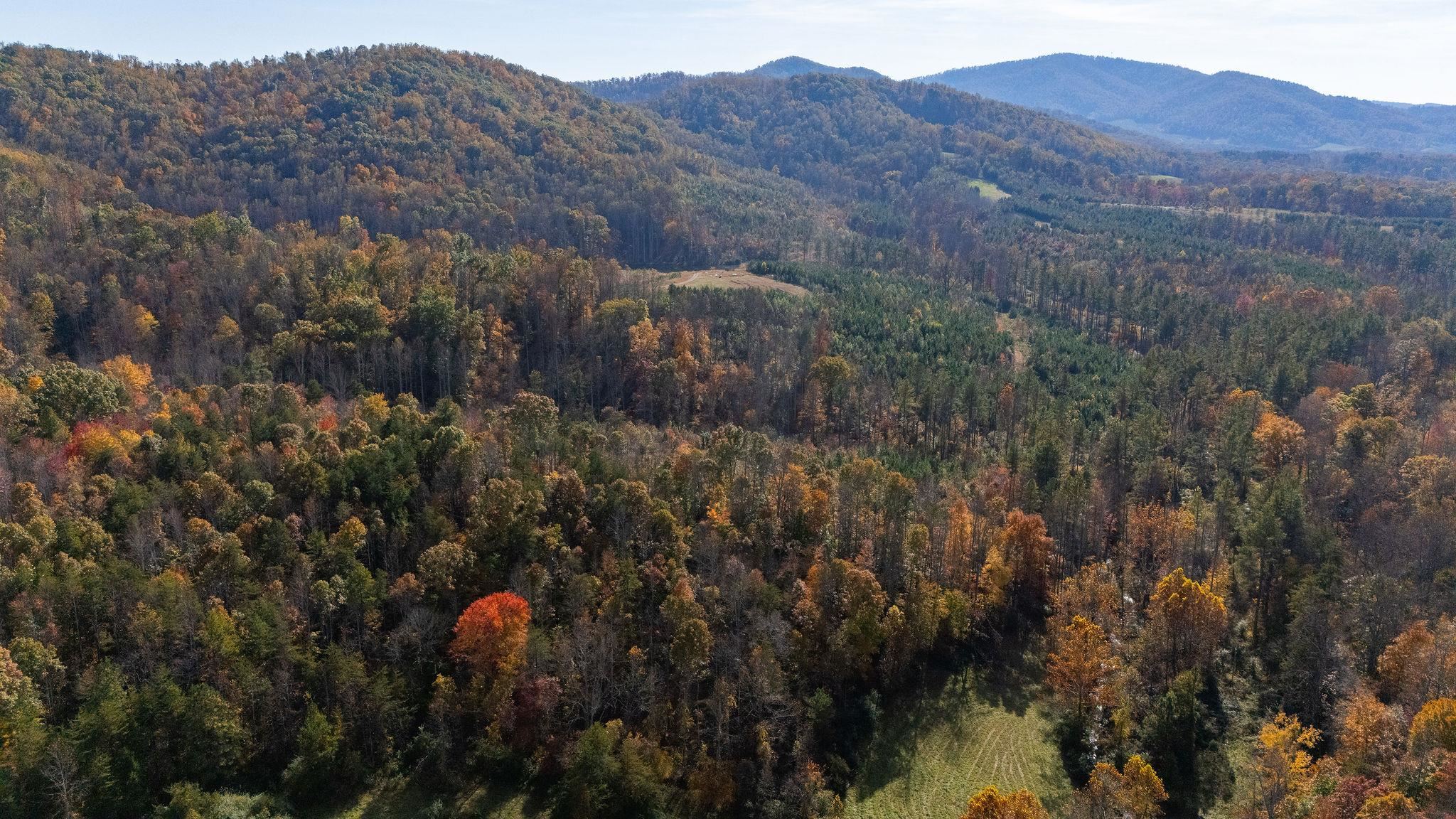 TBD POUNDING CREEK RD, CHARLOTTESVILLE, Virginia 22903, ,Land,TBD POUNDING CREEK RD,658399 MLS # 658399