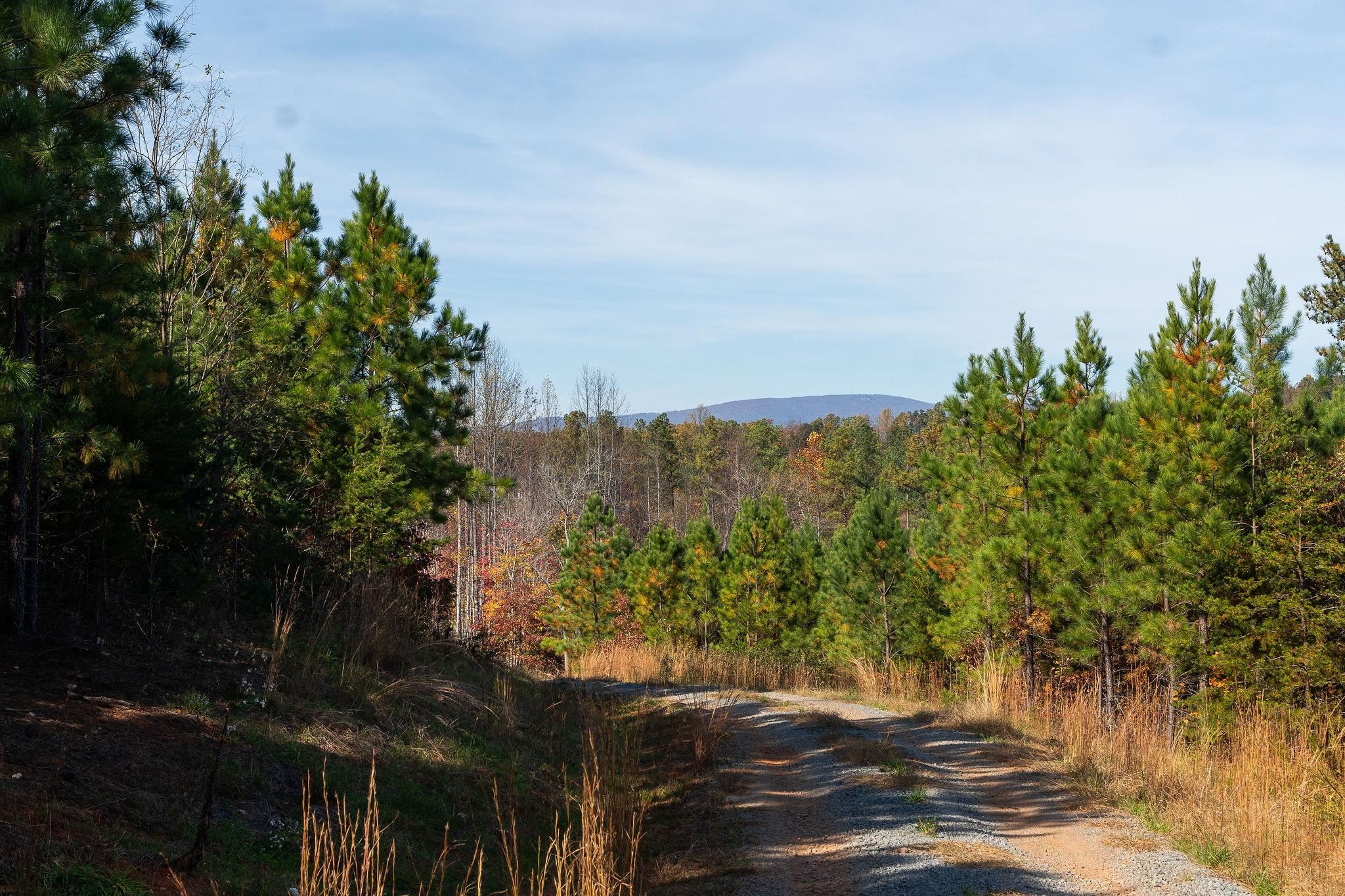 TBD POUNDING CREEK RD, CHARLOTTESVILLE, Virginia 22903, ,Land,TBD POUNDING CREEK RD,658399 MLS # 658399