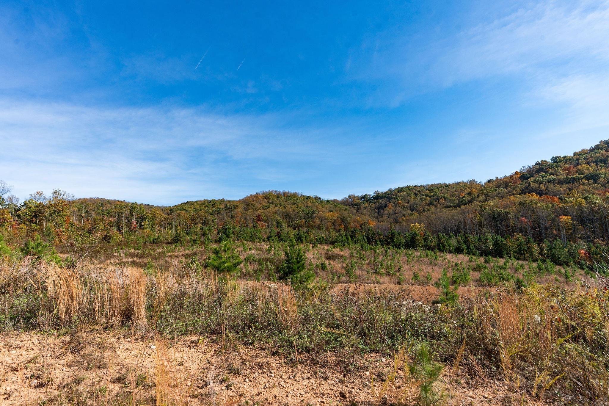 TBD POUNDING CREEK RD, CHARLOTTESVILLE, Virginia 22903, ,Land,TBD POUNDING CREEK RD,658399 MLS # 658399