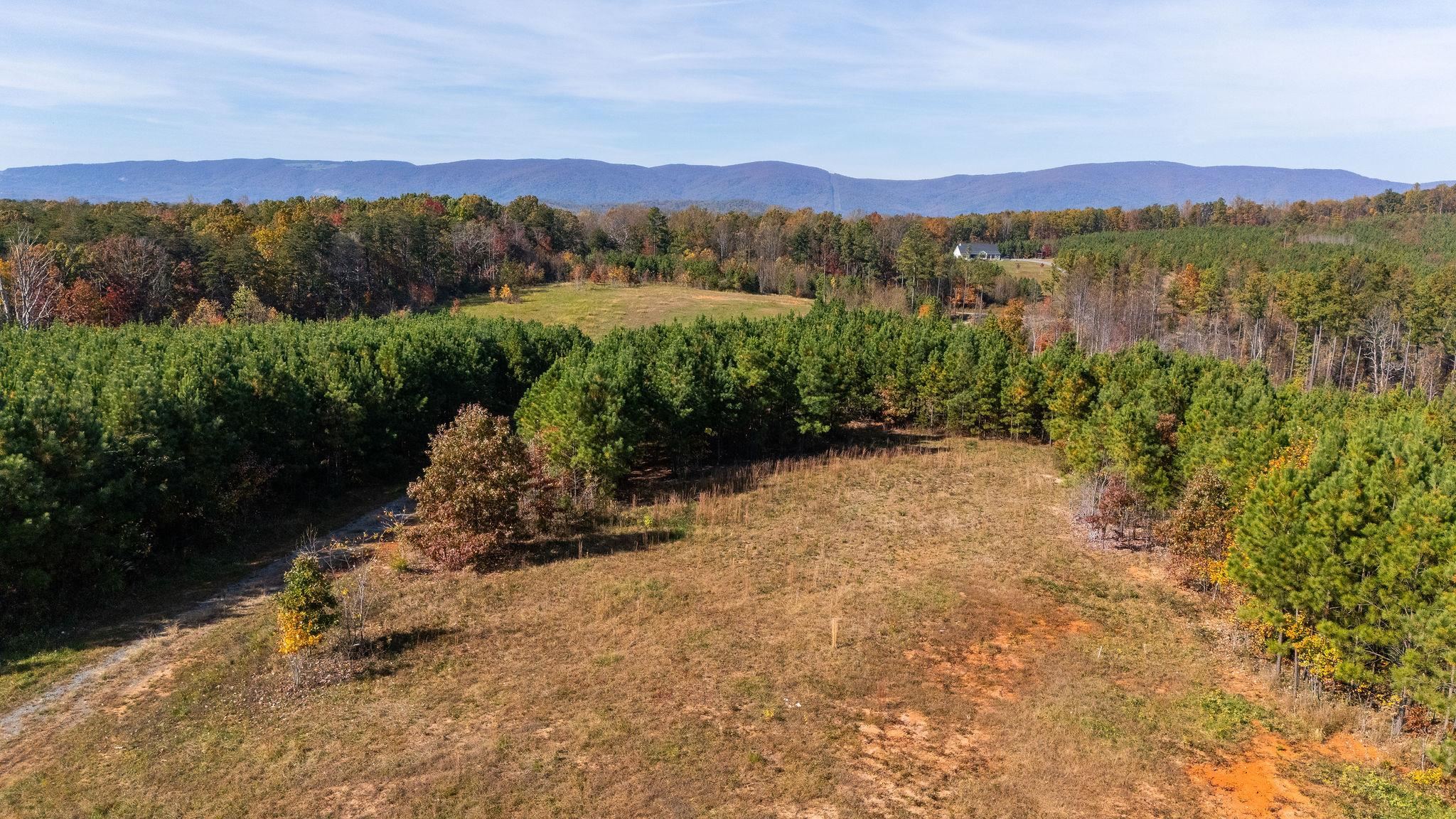 TBD POUNDING CREEK RD, CHARLOTTESVILLE, Virginia 22903, ,Land,TBD POUNDING CREEK RD,658399 MLS # 658399