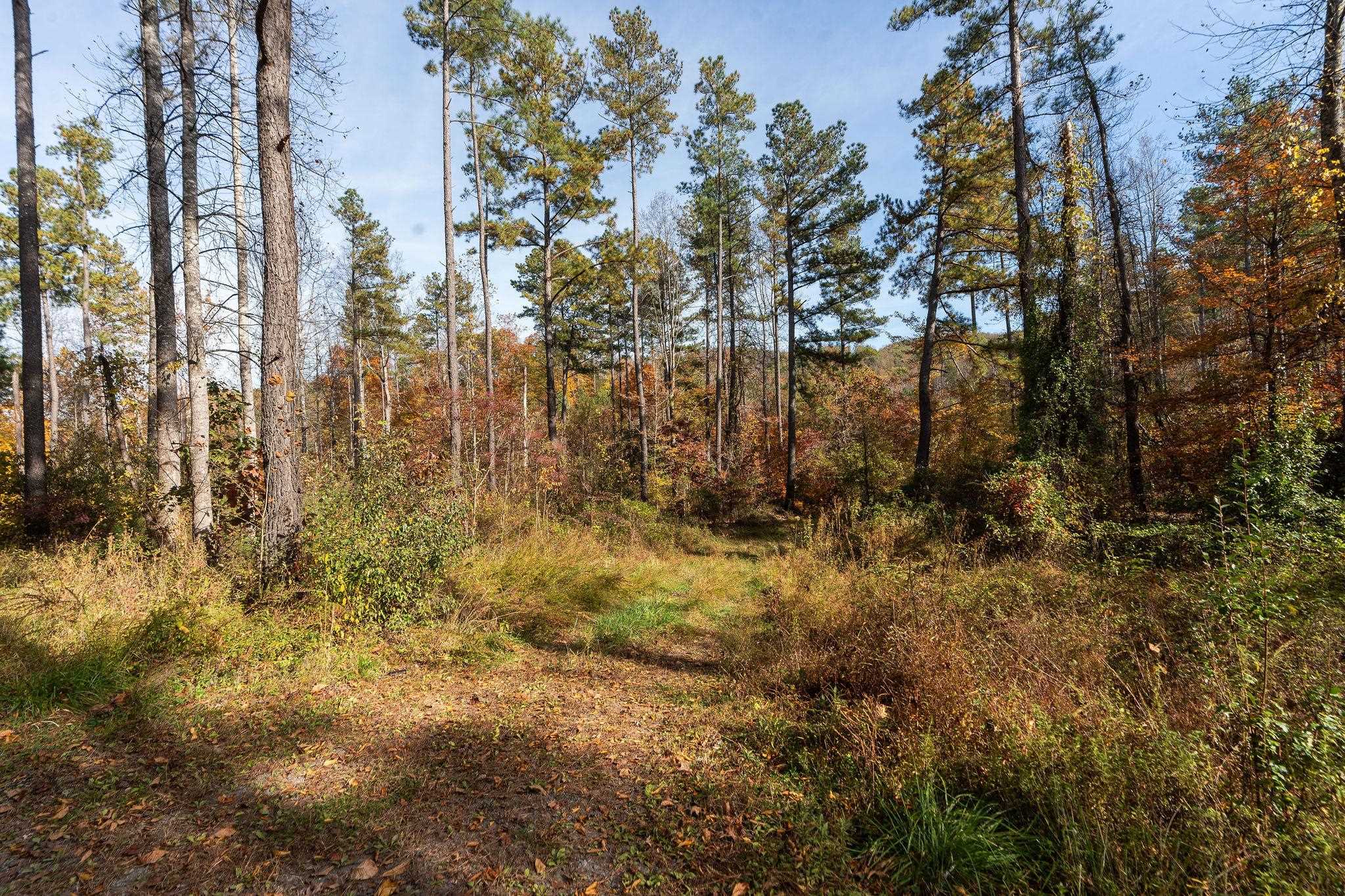 TBD POUNDING CREEK RD, CHARLOTTESVILLE, Virginia 22903, ,Land,TBD POUNDING CREEK RD,658399 MLS # 658399