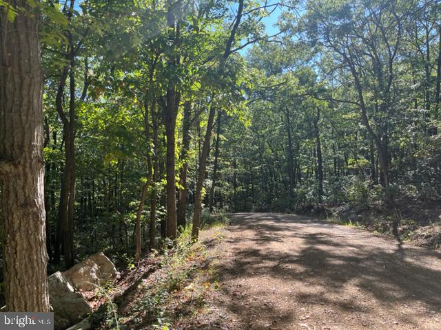 0 STAGG TRL, WINCHESTER, Virginia 22602, ,Land,For sale,0 STAGG TRL,VAFV2022602 MLS # VAFV2022602