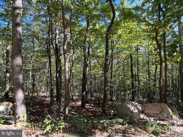 0 STAGG TRL, WINCHESTER, Virginia 22602, ,Land,For sale,0 STAGG TRL,VAFV2022602 MLS # VAFV2022602