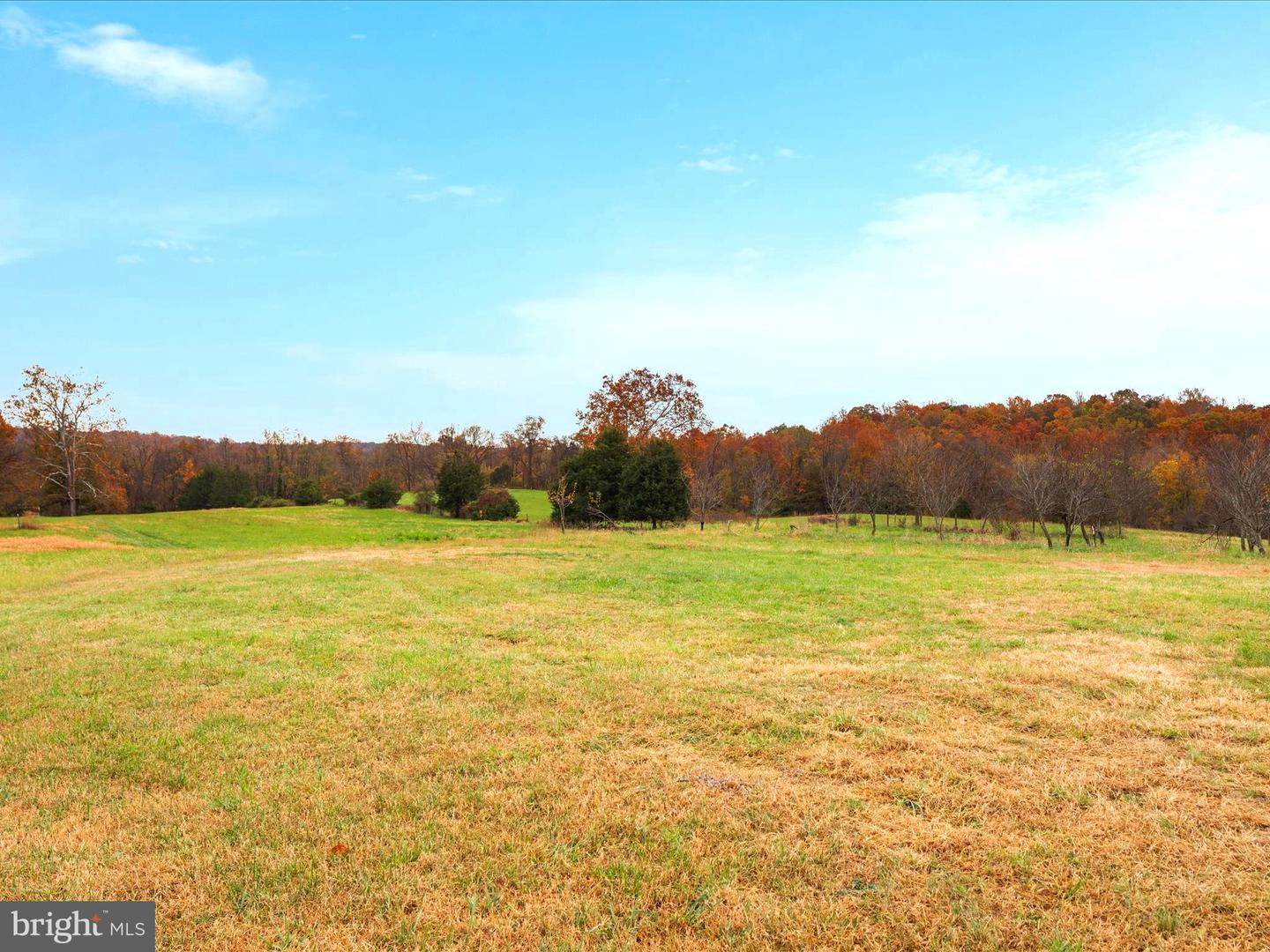 43725 SPINKS FERRY RD, LEESBURG, Virginia 20176, ,Farm,For sale,43725 SPINKS FERRY RD,VALO2082710 MLS # VALO2082710