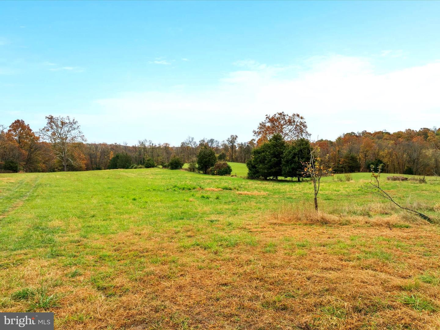 43725 SPINKS FERRY RD, LEESBURG, Virginia 20176, ,Farm,For sale,43725 SPINKS FERRY RD,VALO2082710 MLS # VALO2082710