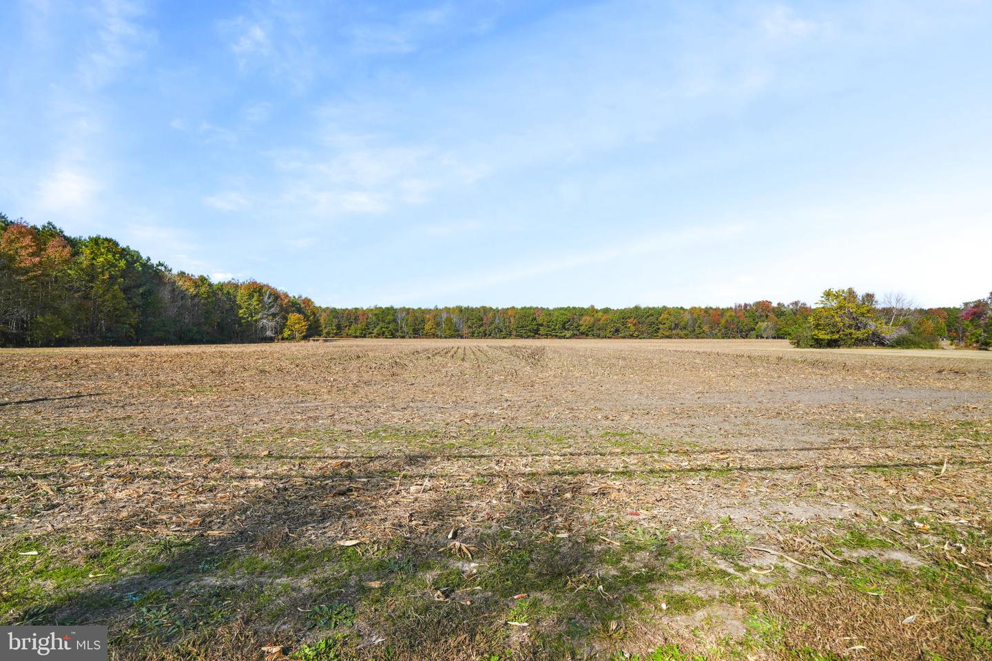 LOT 177 HOPETON RD, BLOXOM, Virginia 23308, ,Land,For sale,LOT 177 HOPETON RD,VAAC2001426 MLS # VAAC2001426