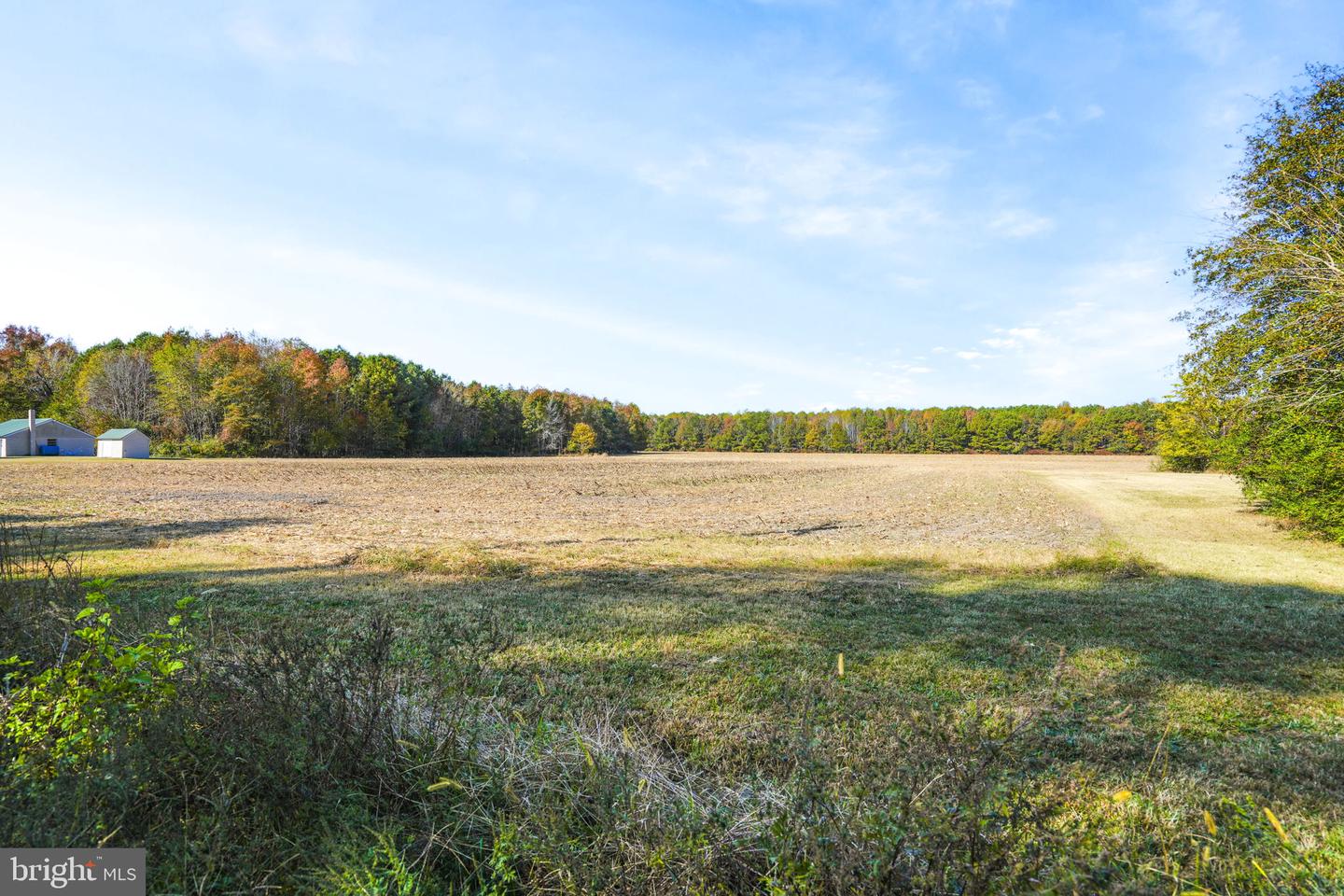 LOT 177 HOPETON RD, BLOXOM, Virginia 23308, ,Land,For sale,LOT 177 HOPETON RD,VAAC2001426 MLS # VAAC2001426