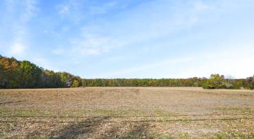 LOT 177 HOPETON RD, BLOXOM, Virginia 23308, ,Land,For sale,LOT 177 HOPETON RD,VAAC2001426 MLS # VAAC2001426