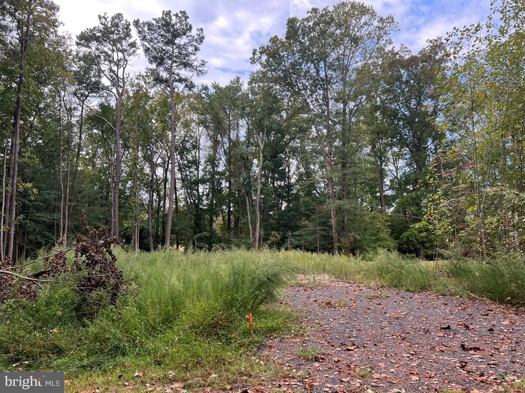 LOT 1955 MAYFLOWER DR, GREENBACKVILLE, Virginia 23356, ,Land,For sale,LOT 1955 MAYFLOWER DR,VAAC2001428 MLS # VAAC2001428