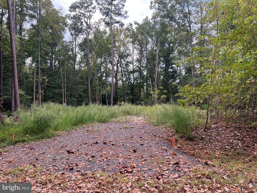 LOT 1955 MAYFLOWER DR, GREENBACKVILLE, Virginia 23356, ,Land,For sale,LOT 1955 MAYFLOWER DR,VAAC2001428 MLS # VAAC2001428