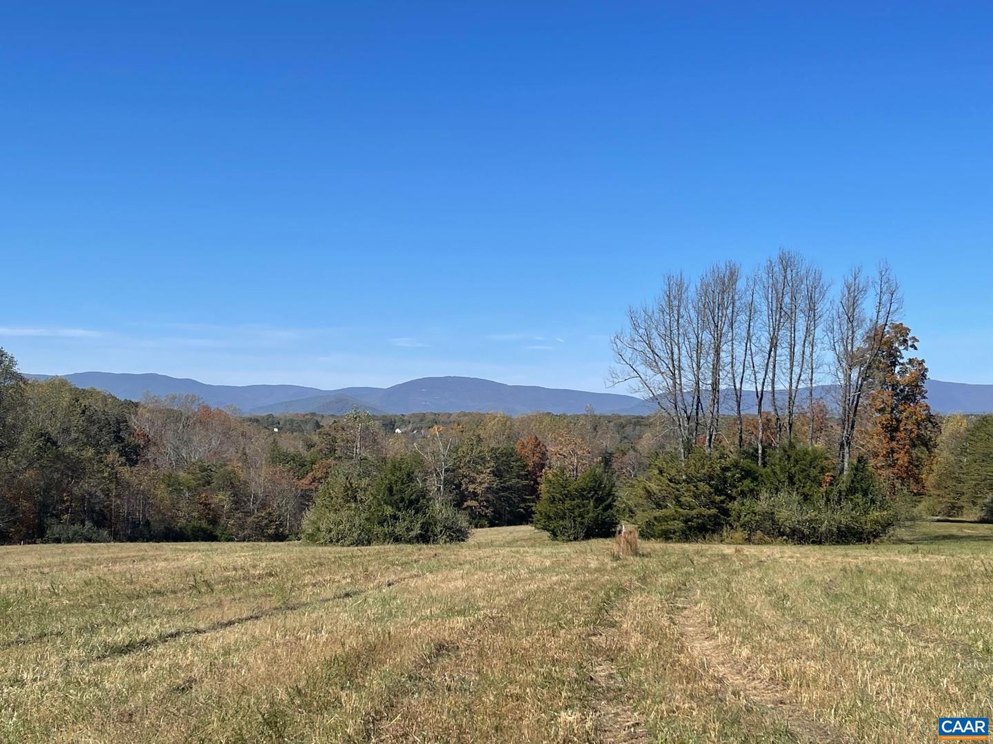 TBD 1 FRAYS MILL RD, RUCKERSVILLE, Virginia 22968, ,Land,For sale,TBD 1 FRAYS MILL RD,636000 MLS # 636000