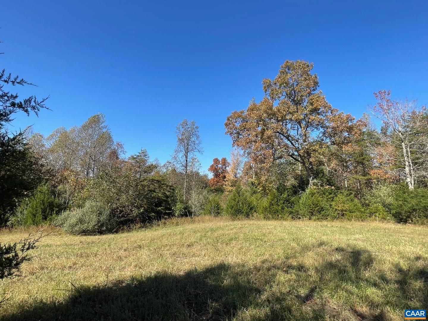 TBD 2 FRAYS MILL RD, RUCKERSVILLE, Virginia 22968, ,Land,For sale,TBD 2 FRAYS MILL RD,636002 MLS # 636002