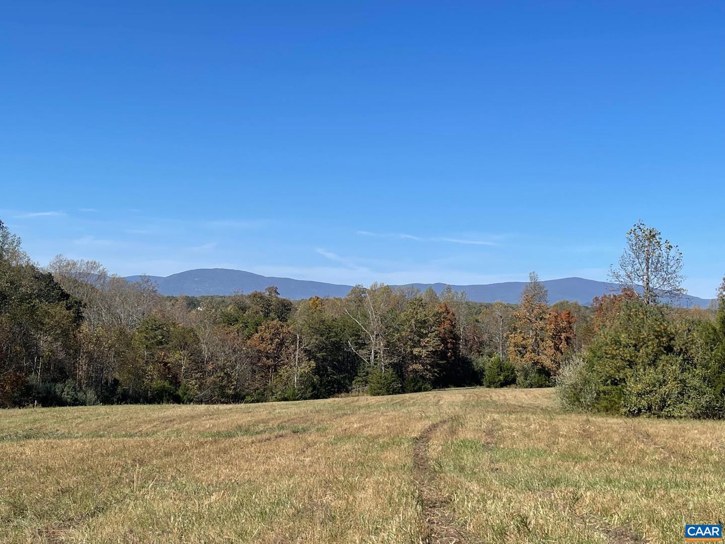 TBD 3 FRAYS MILL RD, RUCKERSVILLE, Virginia 22968, ,Land,For sale,TBD 3 FRAYS MILL RD,636003 MLS # 636003