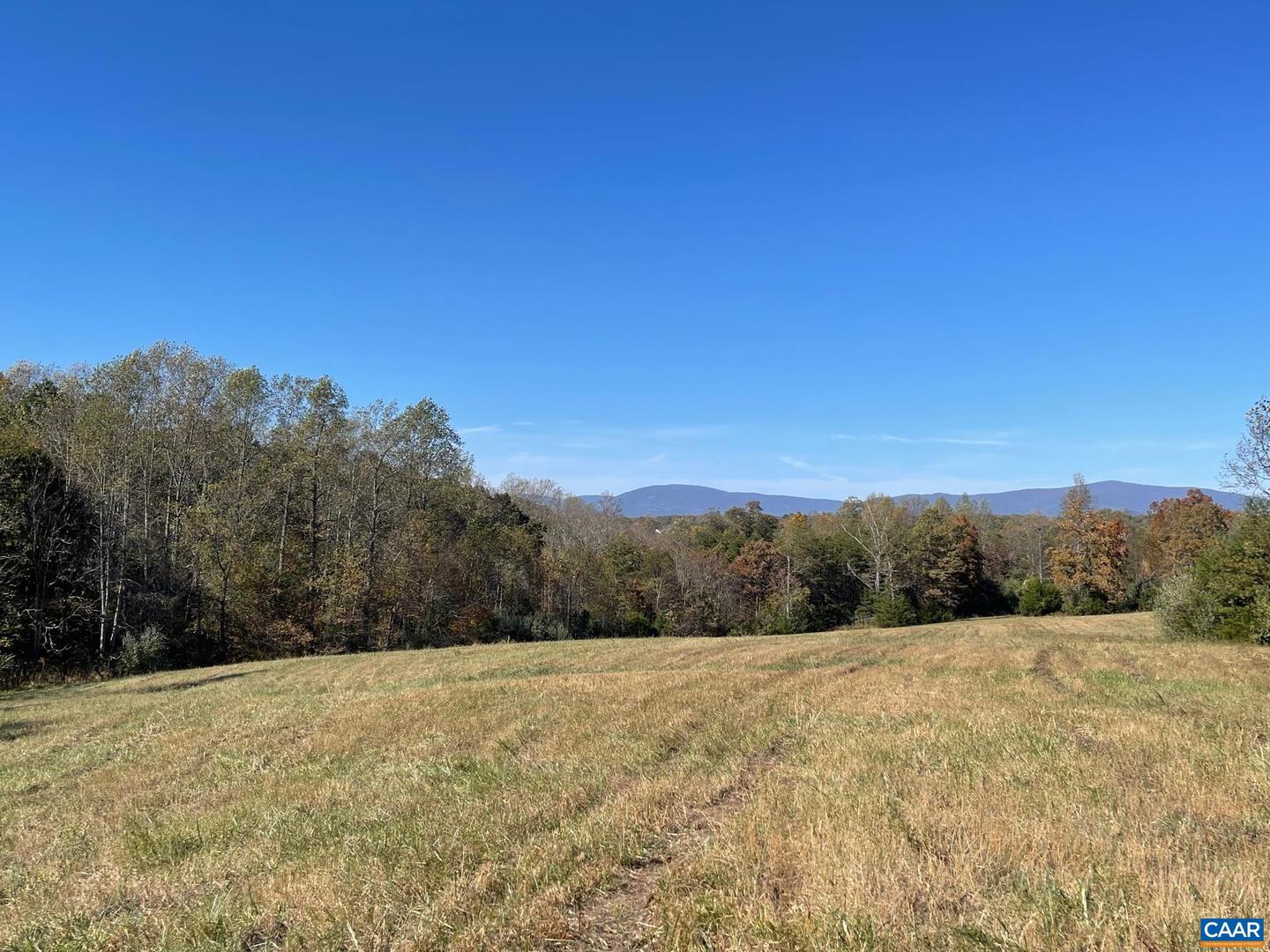 TBD 3 FRAYS MILL RD, RUCKERSVILLE, Virginia 22968, ,Land,For sale,TBD 3 FRAYS MILL RD,636003 MLS # 636003