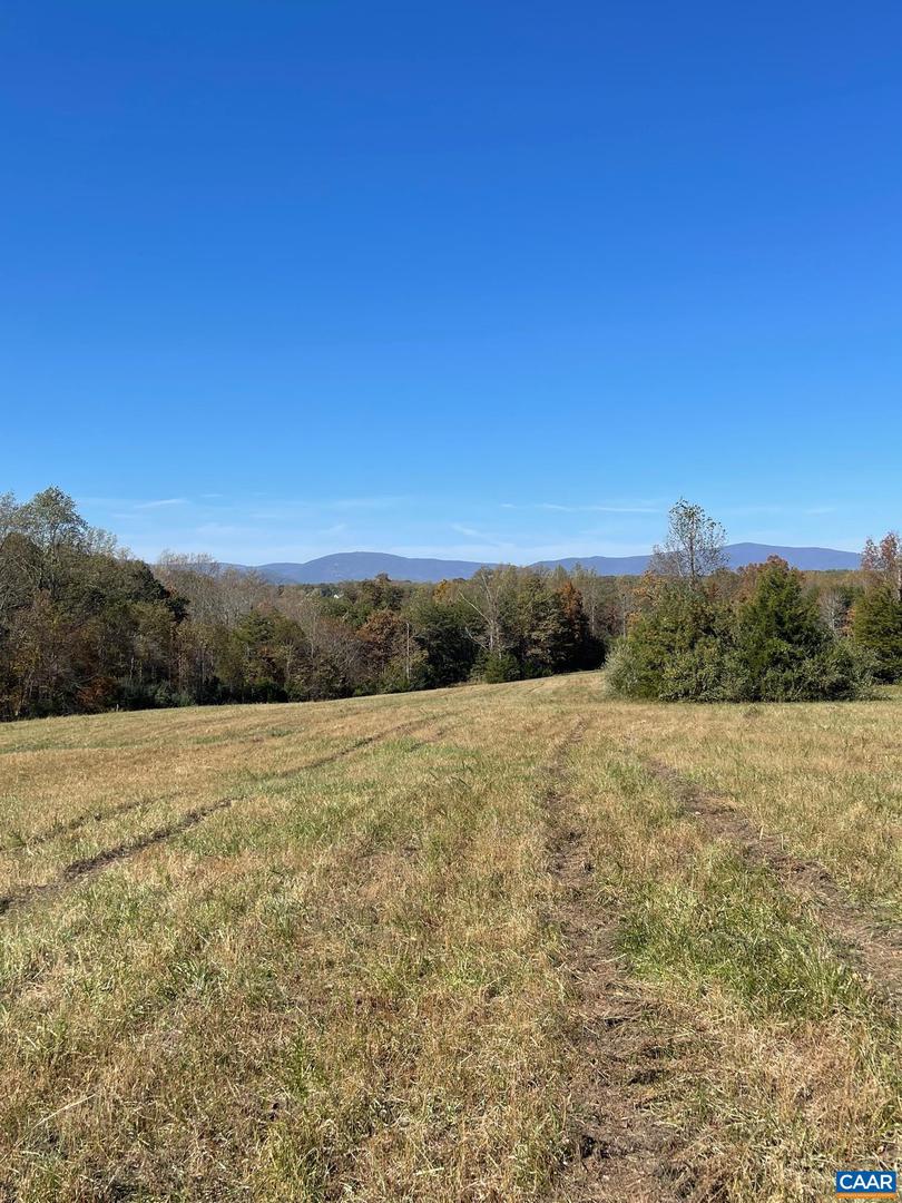 TBD 3 FRAYS MILL RD, RUCKERSVILLE, Virginia 22968, ,Land,For sale,TBD 3 FRAYS MILL RD,636003 MLS # 636003