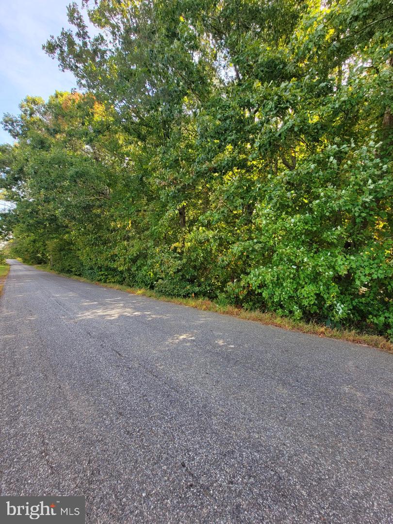 10910 EDENTON RD, PARTLOW, Virginia 22534, ,Land,For sale,10910 EDENTON RD,VASP2029014 MLS # VASP2029014