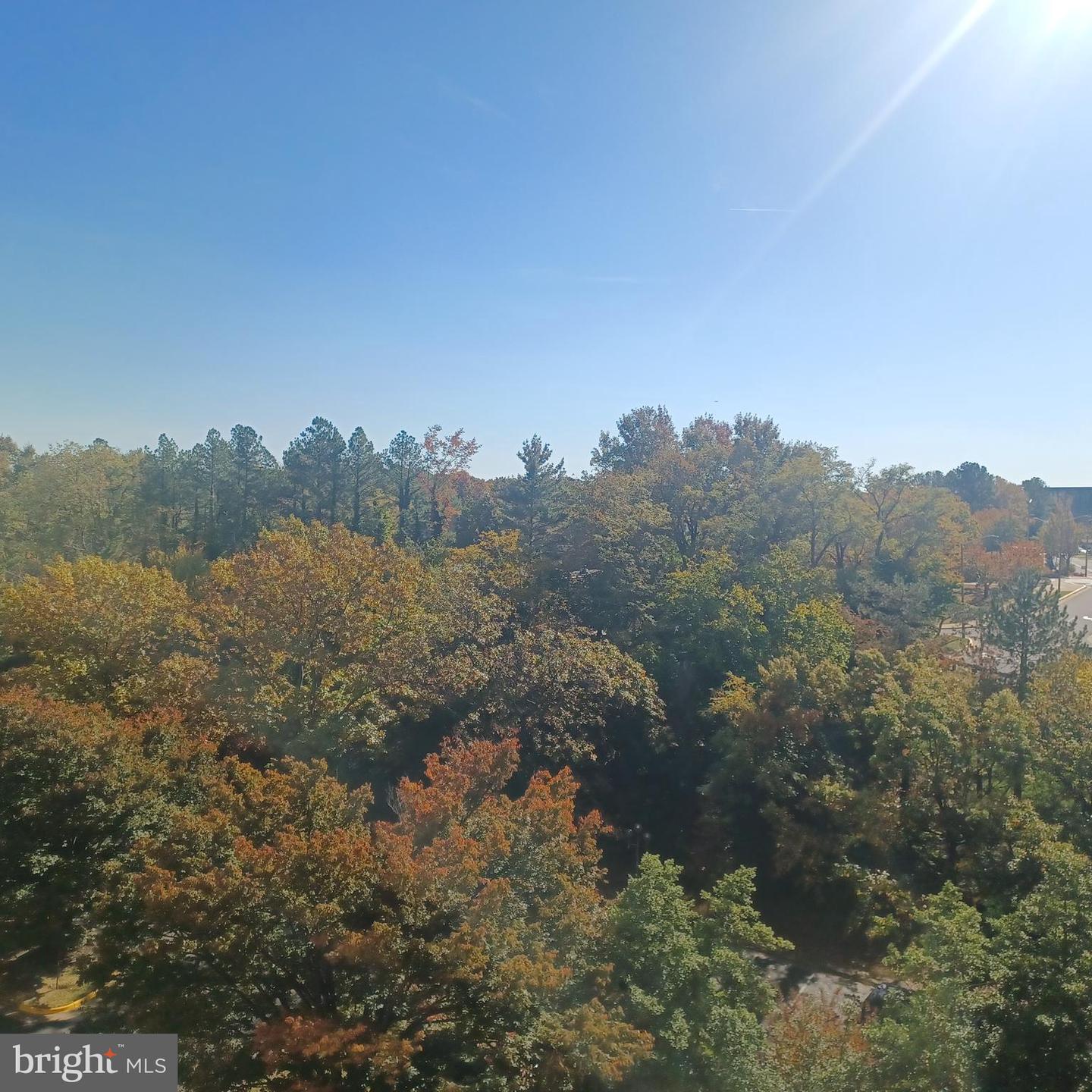 3709 S GEORGE MASON DR #407, FALLS CHURCH, Virginia 22041, 2 Bedrooms Bedrooms, ,1 BathroomBathrooms,Residential,For sale,3709 S GEORGE MASON DR #407,VAFX2208070 MLS # VAFX2208070