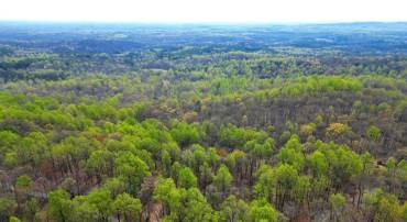 0 CASTLETON VIEW ROAD, CASTLETON, Virginia 22716, ,Land,For sale,0 CASTLETON VIEW ROAD,VARP2001832 MLS # VARP2001832