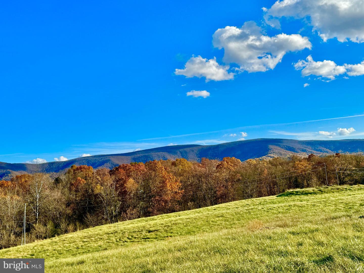 3.7 AC BUCK MOUNTAIN RD, BENTONVILLE, Virginia 22610, ,Land,For sale,3.7 AC BUCK MOUNTAIN RD,VAWR2009568 MLS # VAWR2009568