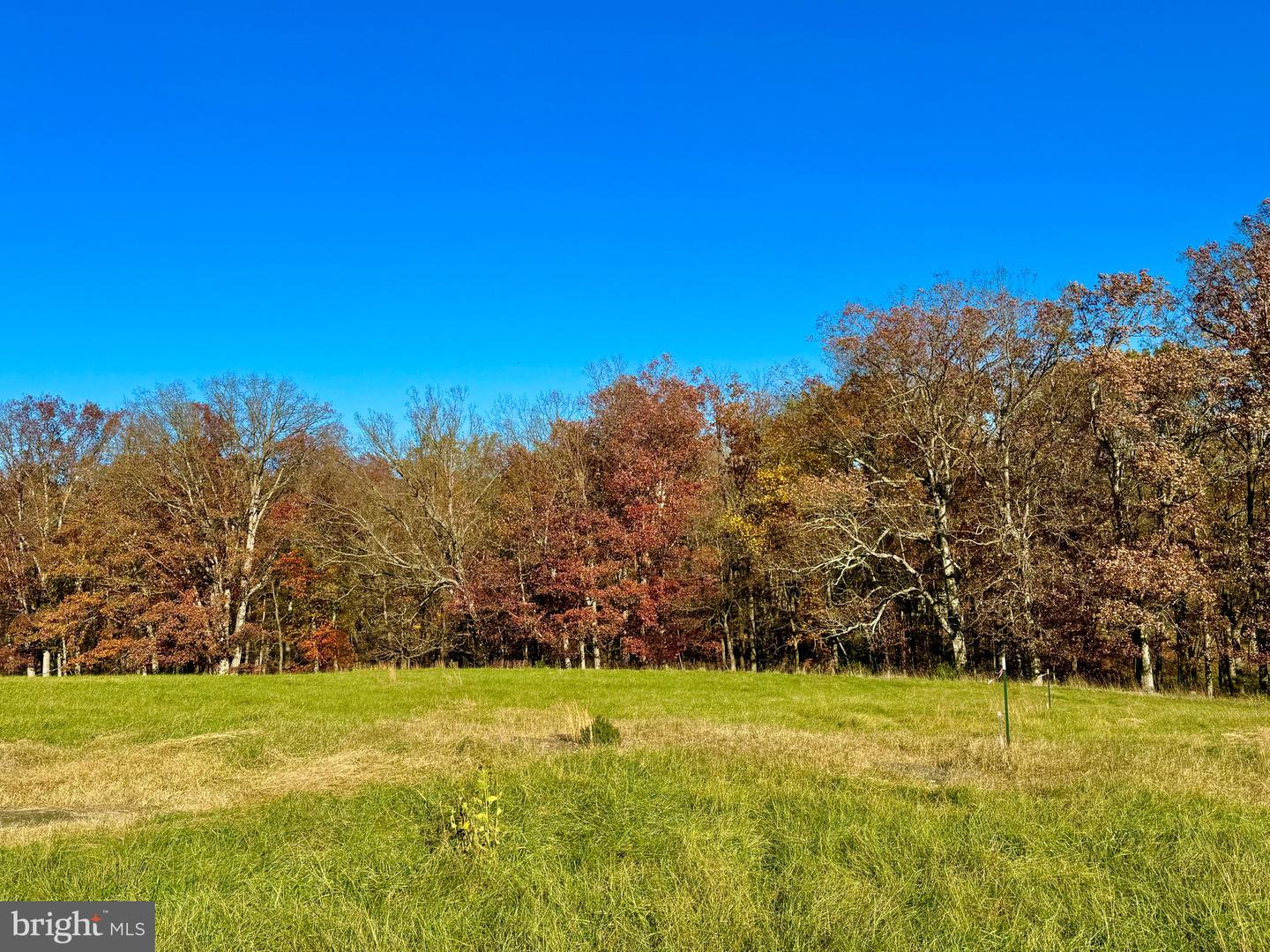 3.7 AC BUCK MOUNTAIN RD, BENTONVILLE, Virginia 22610, ,Land,For sale,3.7 AC BUCK MOUNTAIN RD,VAWR2009568 MLS # VAWR2009568