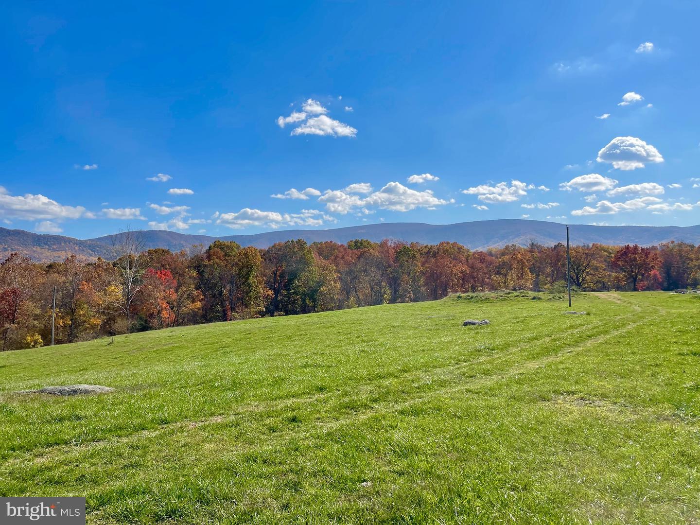 3.7 AC BUCK MOUNTAIN RD, BENTONVILLE, Virginia 22610, ,Land,For sale,3.7 AC BUCK MOUNTAIN RD,VAWR2009568 MLS # VAWR2009568