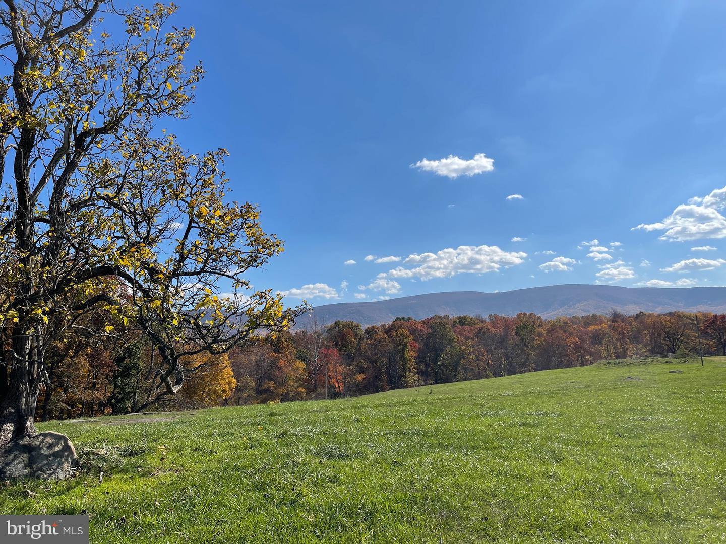 3.7 AC BUCK MOUNTAIN RD, BENTONVILLE, Virginia 22610, ,Land,For sale,3.7 AC BUCK MOUNTAIN RD,VAWR2009568 MLS # VAWR2009568