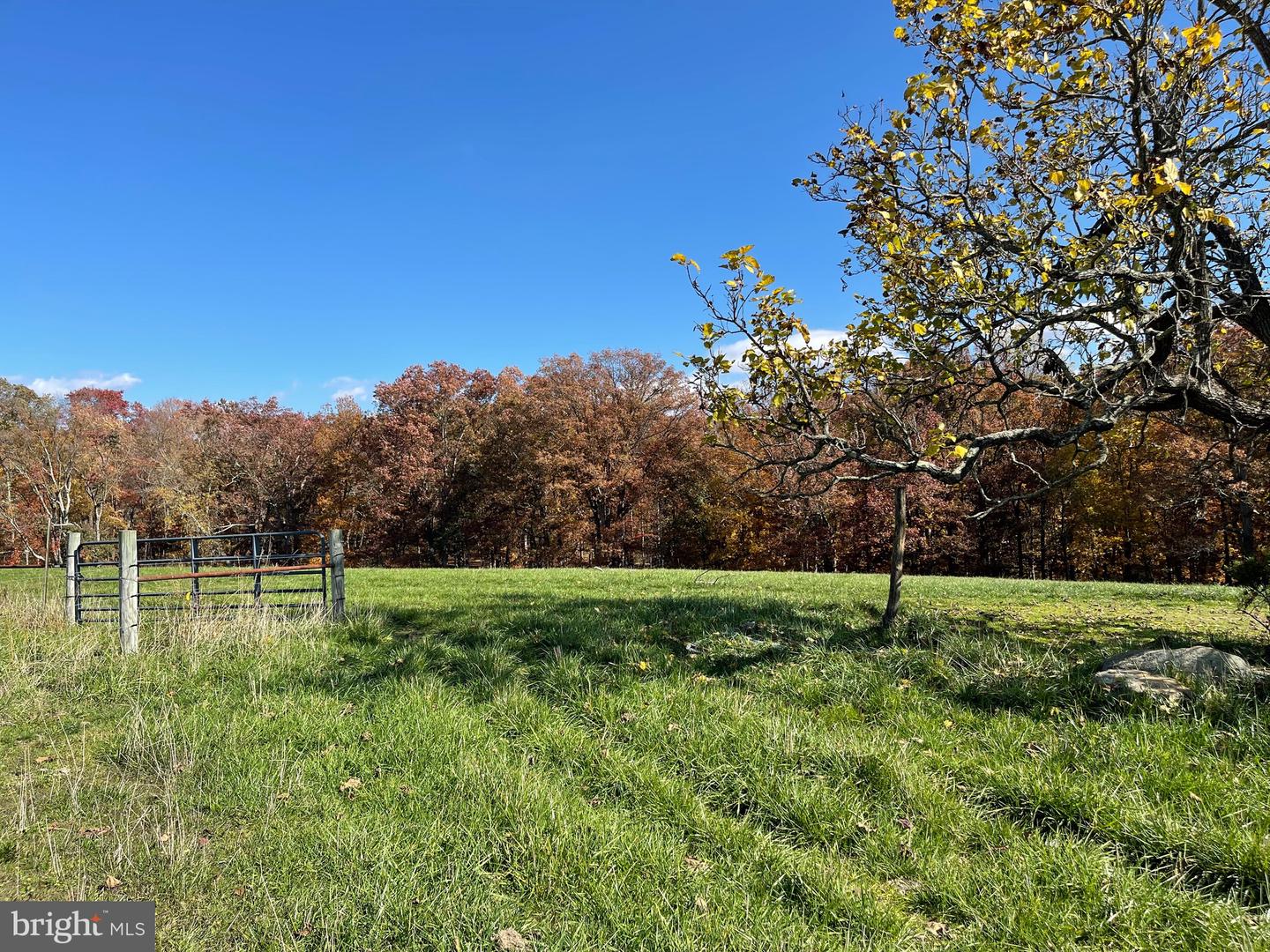 3.7 AC BUCK MOUNTAIN RD, BENTONVILLE, Virginia 22610, ,Land,For sale,3.7 AC BUCK MOUNTAIN RD,VAWR2009568 MLS # VAWR2009568