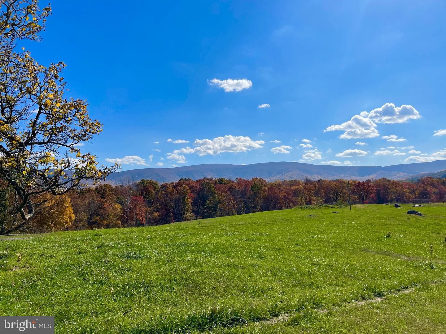 3.7 AC BUCK MOUNTAIN RD, BENTONVILLE, Virginia 22610, ,Land,For sale,3.7 AC BUCK MOUNTAIN RD,VAWR2009568 MLS # VAWR2009568