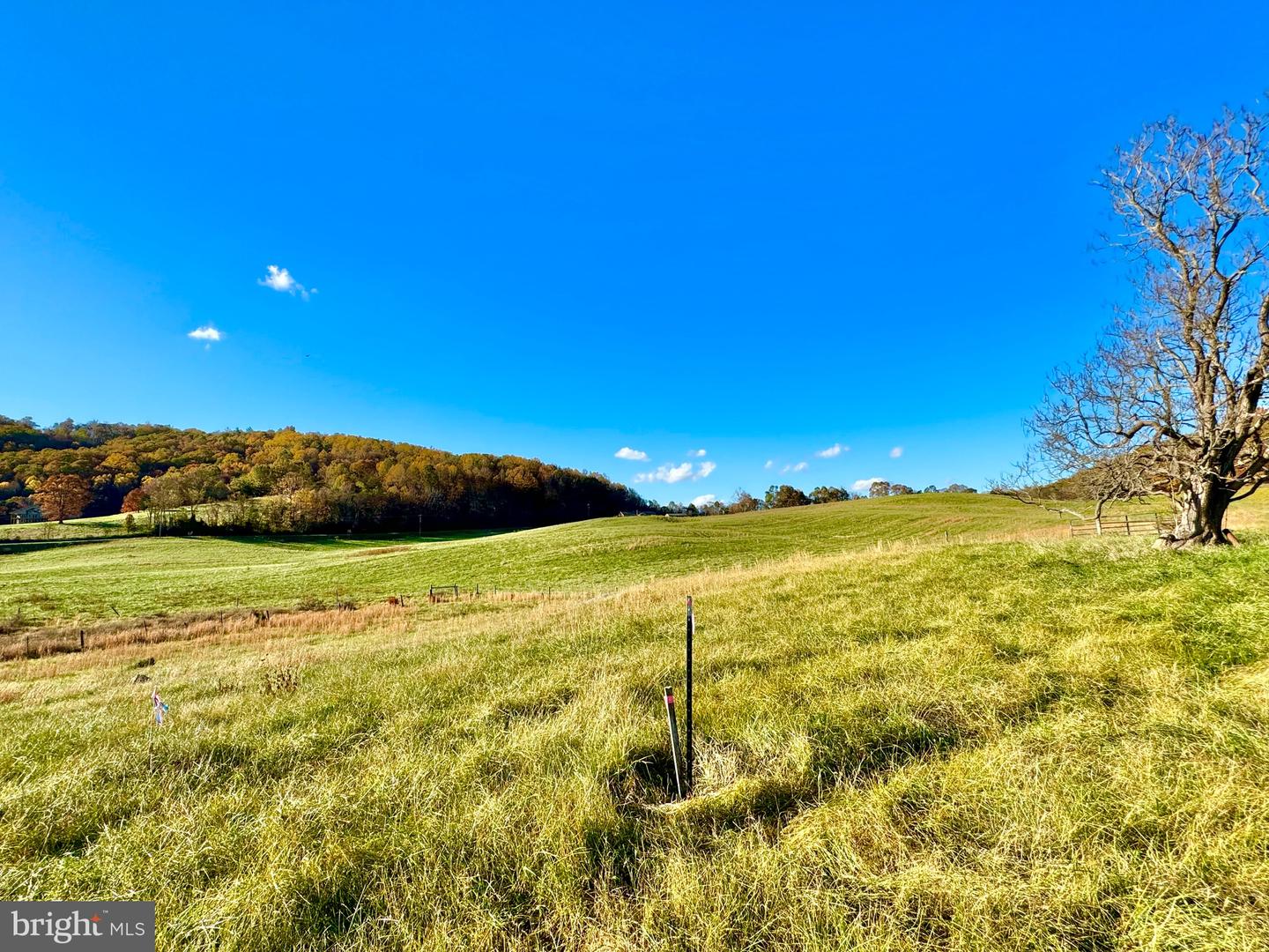 3.7 AC BUCK MOUNTAIN RD, BENTONVILLE, Virginia 22610, ,Land,For sale,3.7 AC BUCK MOUNTAIN RD,VAWR2009568 MLS # VAWR2009568