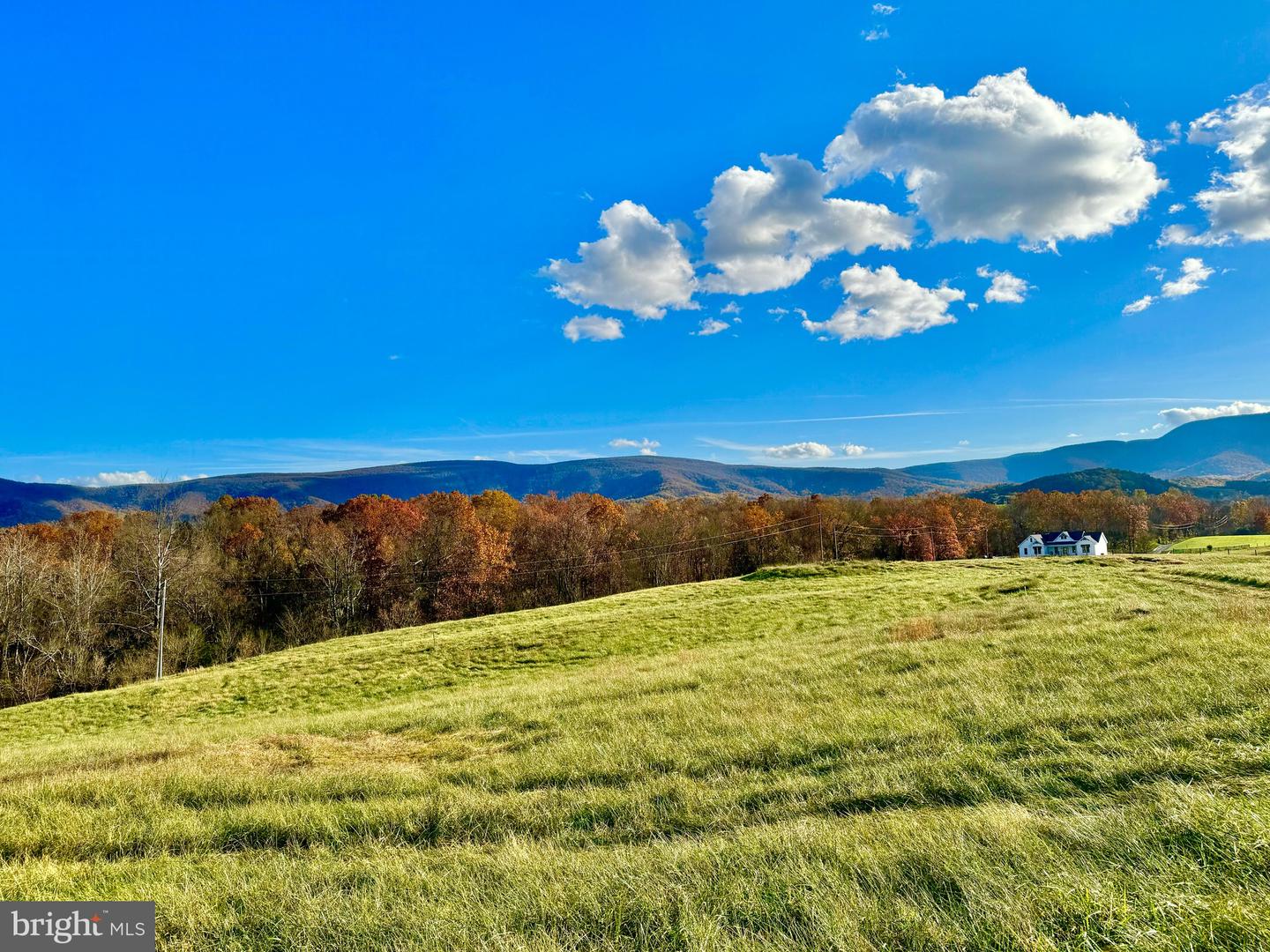 3.7 AC BUCK MOUNTAIN RD, BENTONVILLE, Virginia 22610, ,Land,For sale,3.7 AC BUCK MOUNTAIN RD,VAWR2009568 MLS # VAWR2009568