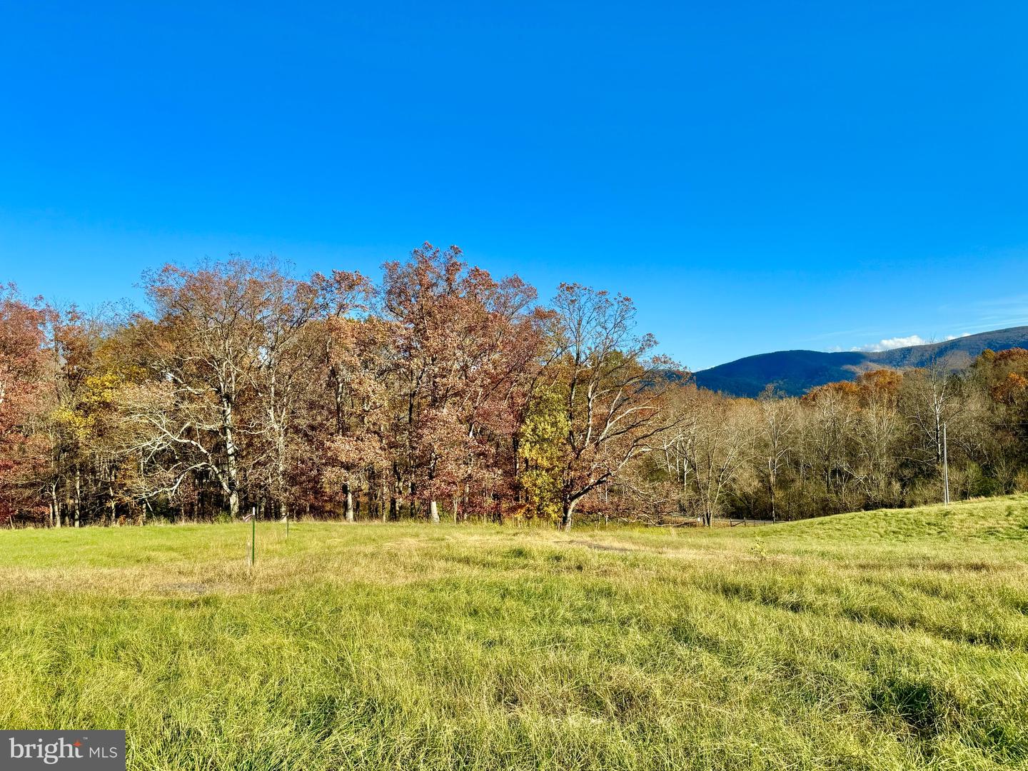 3.7 AC BUCK MOUNTAIN RD, BENTONVILLE, Virginia 22610, ,Land,For sale,3.7 AC BUCK MOUNTAIN RD,VAWR2009568 MLS # VAWR2009568