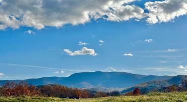 3.7 AC BUCK MOUNTAIN RD, BENTONVILLE, Virginia 22610, ,Land,For sale,3.7 AC BUCK MOUNTAIN RD,VAWR2009568 MLS # VAWR2009568