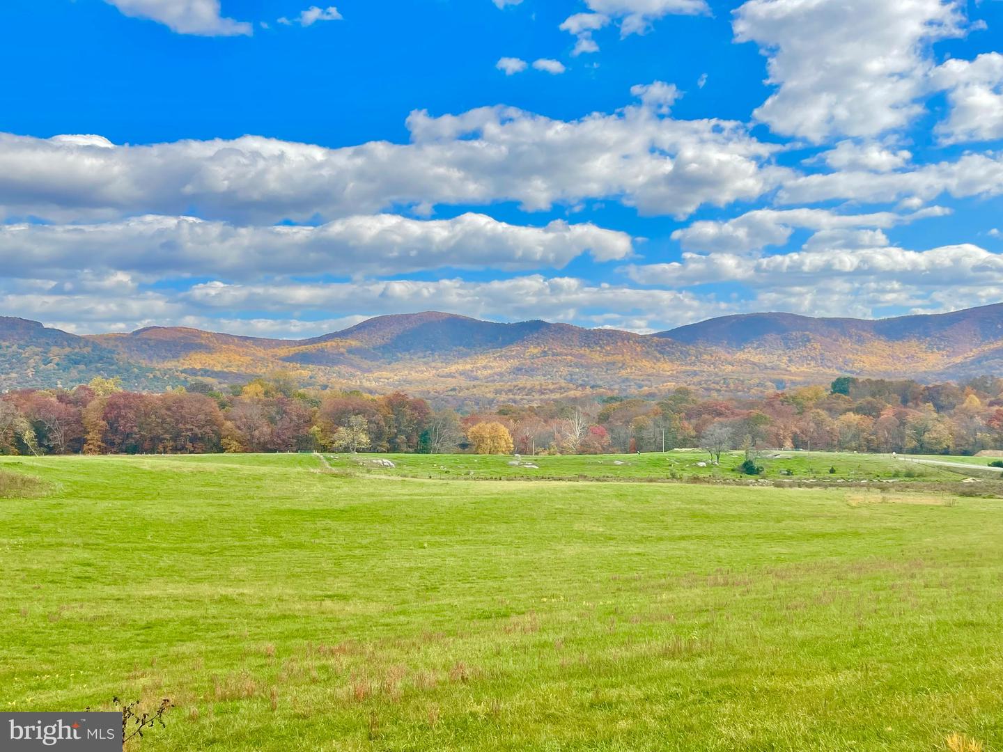 10 AC BUCK MOUNTAIN RD, BENTONVILLE, Virginia 22610, ,Land,For sale,10 AC BUCK MOUNTAIN RD,VAWR2009570 MLS # VAWR2009570