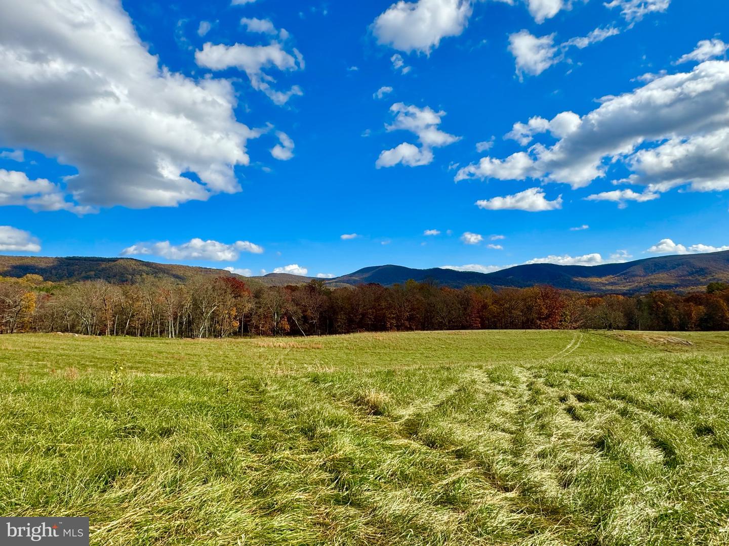 10 AC BUCK MOUNTAIN RD, BENTONVILLE, Virginia 22610, ,Land,For sale,10 AC BUCK MOUNTAIN RD,VAWR2009570 MLS # VAWR2009570