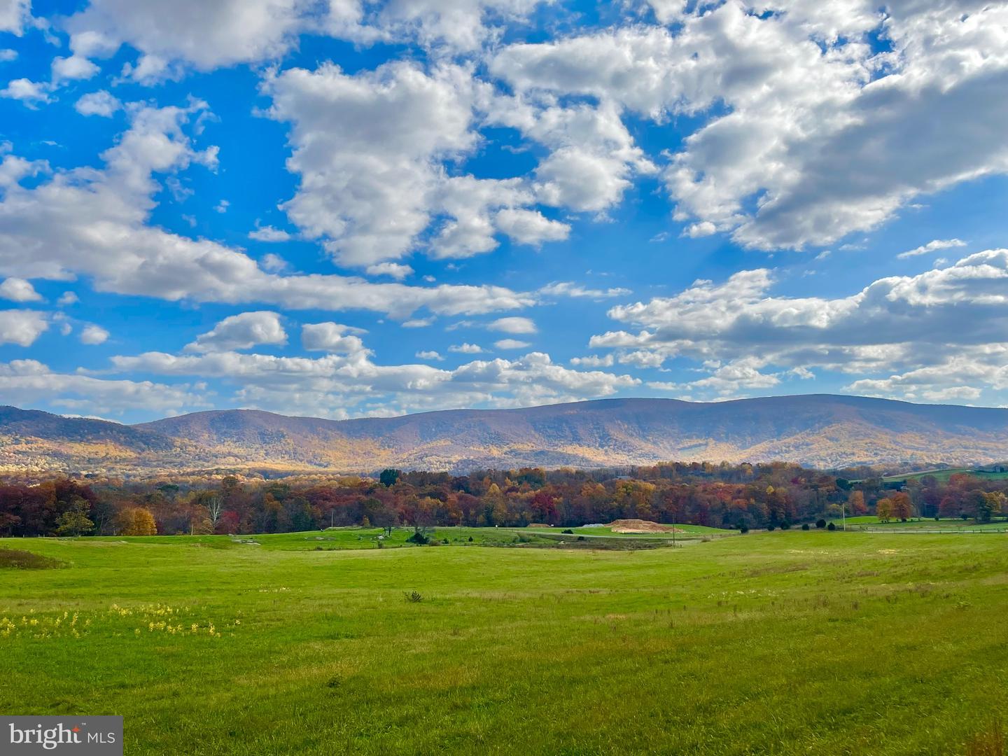 10 AC BUCK MOUNTAIN RD, BENTONVILLE, Virginia 22610, ,Land,For sale,10 AC BUCK MOUNTAIN RD,VAWR2009570 MLS # VAWR2009570