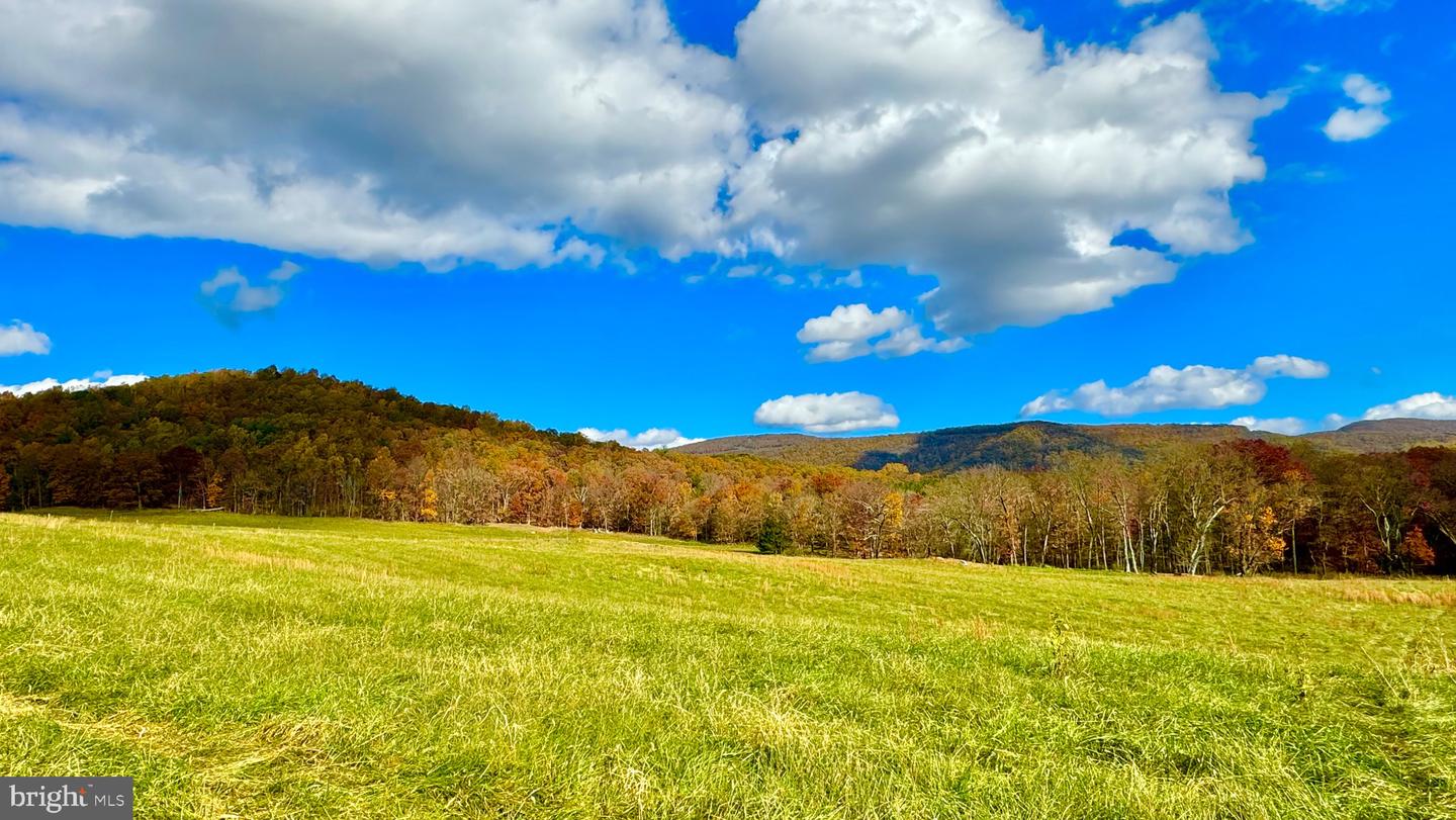 10 AC BUCK MOUNTAIN RD, BENTONVILLE, Virginia 22610, ,Land,For sale,10 AC BUCK MOUNTAIN RD,VAWR2009570 MLS # VAWR2009570