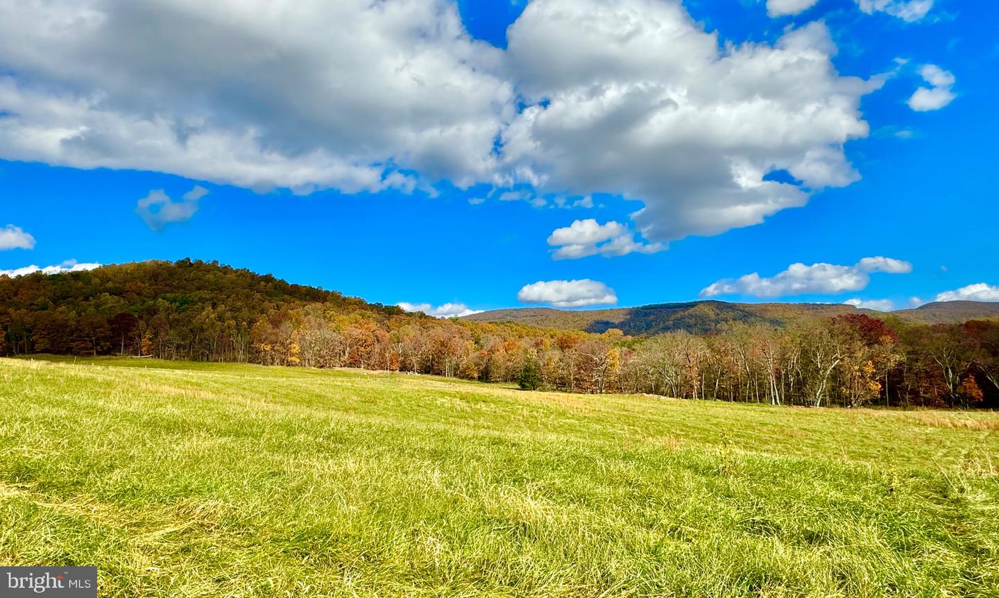 10 AC BUCK MOUNTAIN RD, BENTONVILLE, Virginia 22610, ,Land,For sale,10 AC BUCK MOUNTAIN RD,VAWR2009570 MLS # VAWR2009570