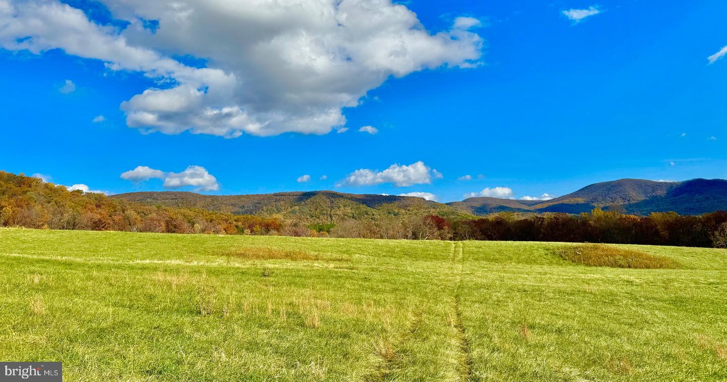 10 AC BUCK MOUNTAIN RD, BENTONVILLE, Virginia 22610, ,Land,For sale,10 AC BUCK MOUNTAIN RD,VAWR2009570 MLS # VAWR2009570