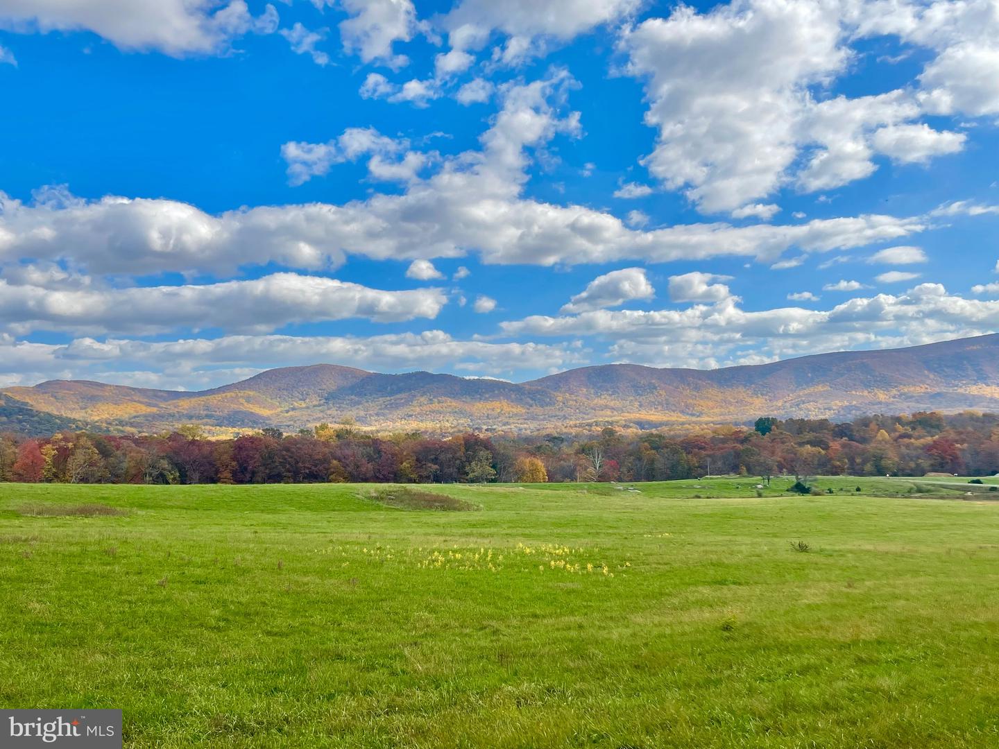 10 AC BUCK MOUNTAIN RD, BENTONVILLE, Virginia 22610, ,Land,For sale,10 AC BUCK MOUNTAIN RD,VAWR2009570 MLS # VAWR2009570