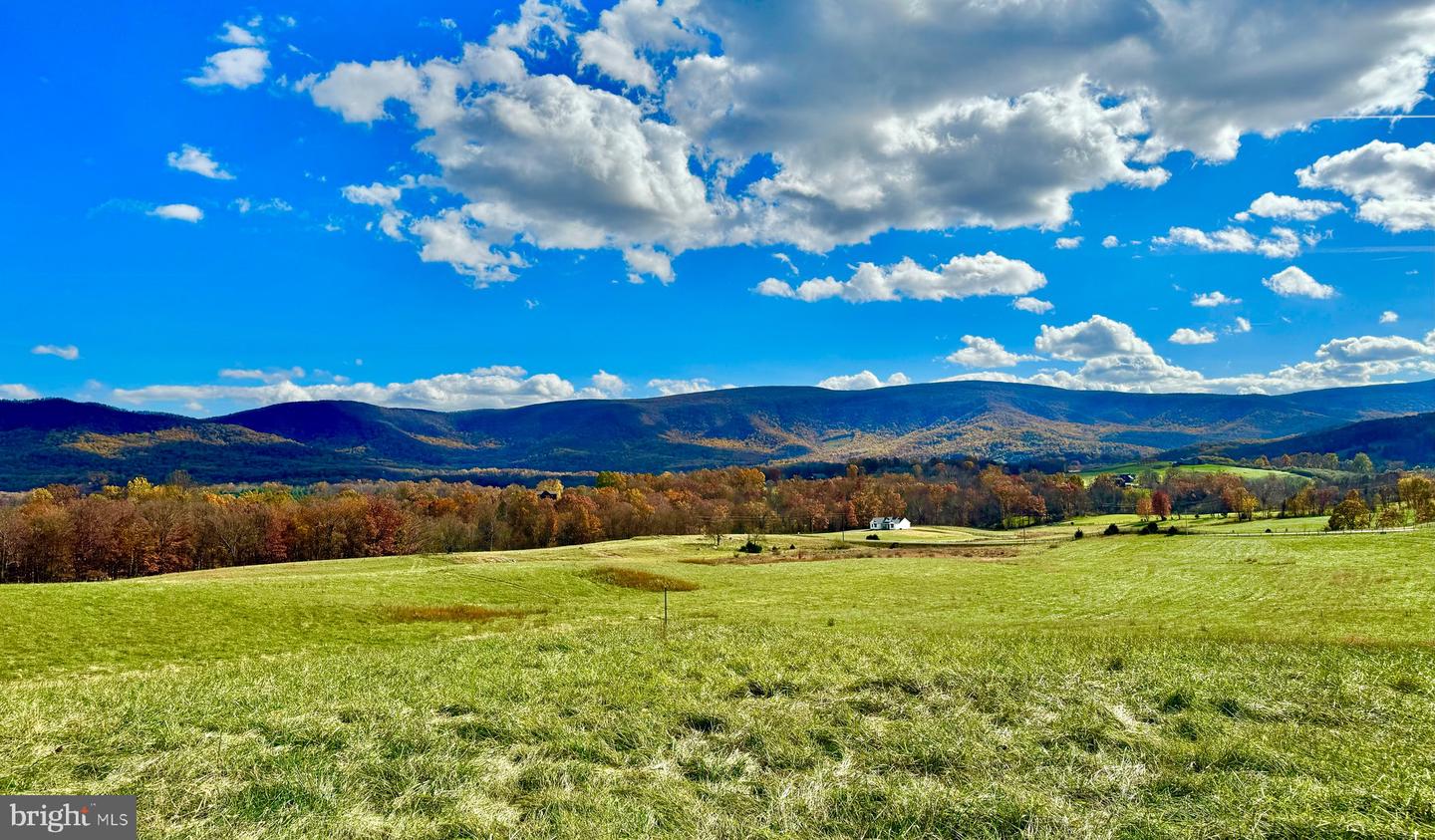 10 AC BUCK MOUNTAIN RD, BENTONVILLE, Virginia 22610, ,Land,For sale,10 AC BUCK MOUNTAIN RD,VAWR2009570 MLS # VAWR2009570