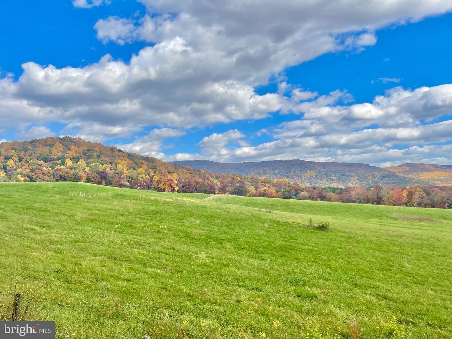 10 AC BUCK MOUNTAIN RD, BENTONVILLE, Virginia 22610, ,Land,For sale,10 AC BUCK MOUNTAIN RD,VAWR2009570 MLS # VAWR2009570