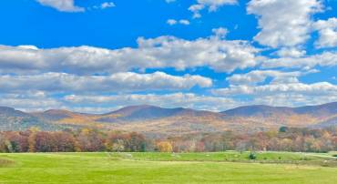 10 AC BUCK MOUNTAIN RD, BENTONVILLE, Virginia 22610, ,Land,For sale,10 AC BUCK MOUNTAIN RD,VAWR2009570 MLS # VAWR2009570