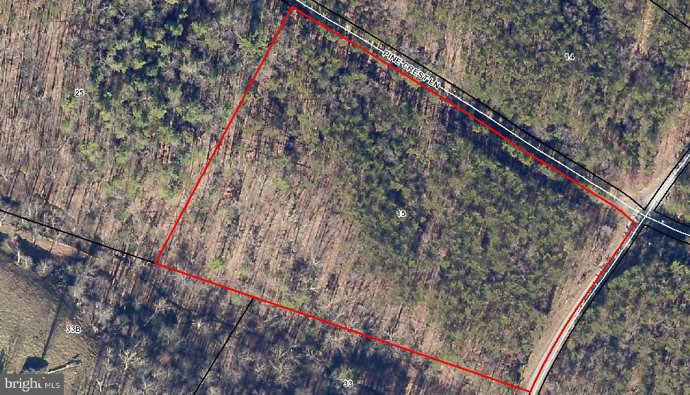 LOT 15 PINE CREST LN, WINCHESTER, Virginia 22603, ,Land,For sale,LOT 15 PINE CREST LN,VAFV2018706 MLS # VAFV2018706