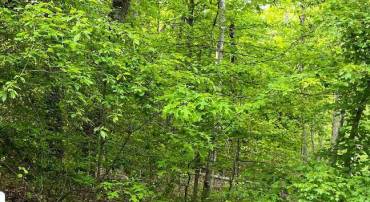 LOT 8 8E HIDDEN LANE, STAFFORD, Virginia 22556, ,Land,For sale,-LOT 8 8E HIDDEN LANE,VAST2033958 MLS # VAST2033958