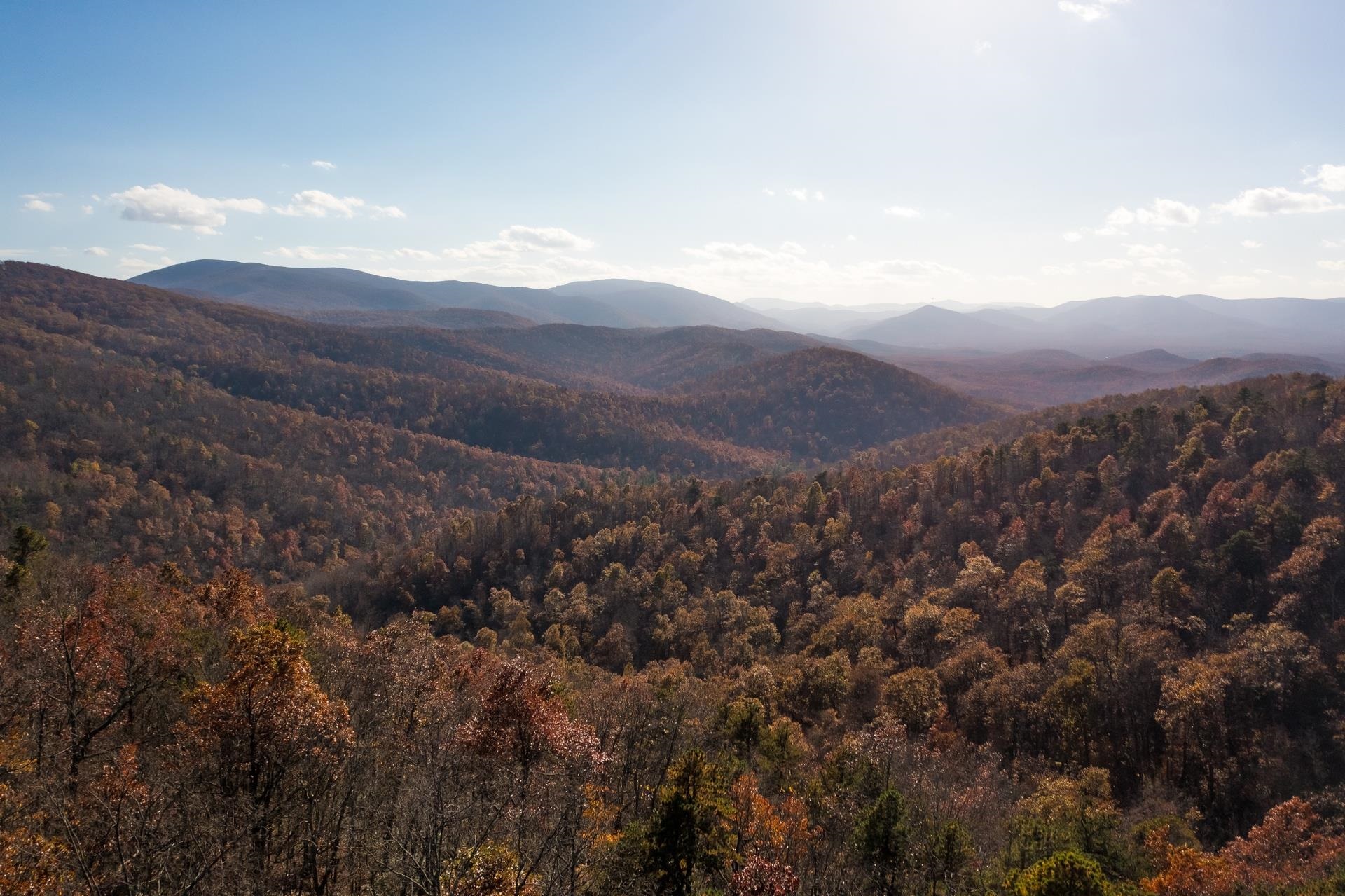 This could be the view from your home