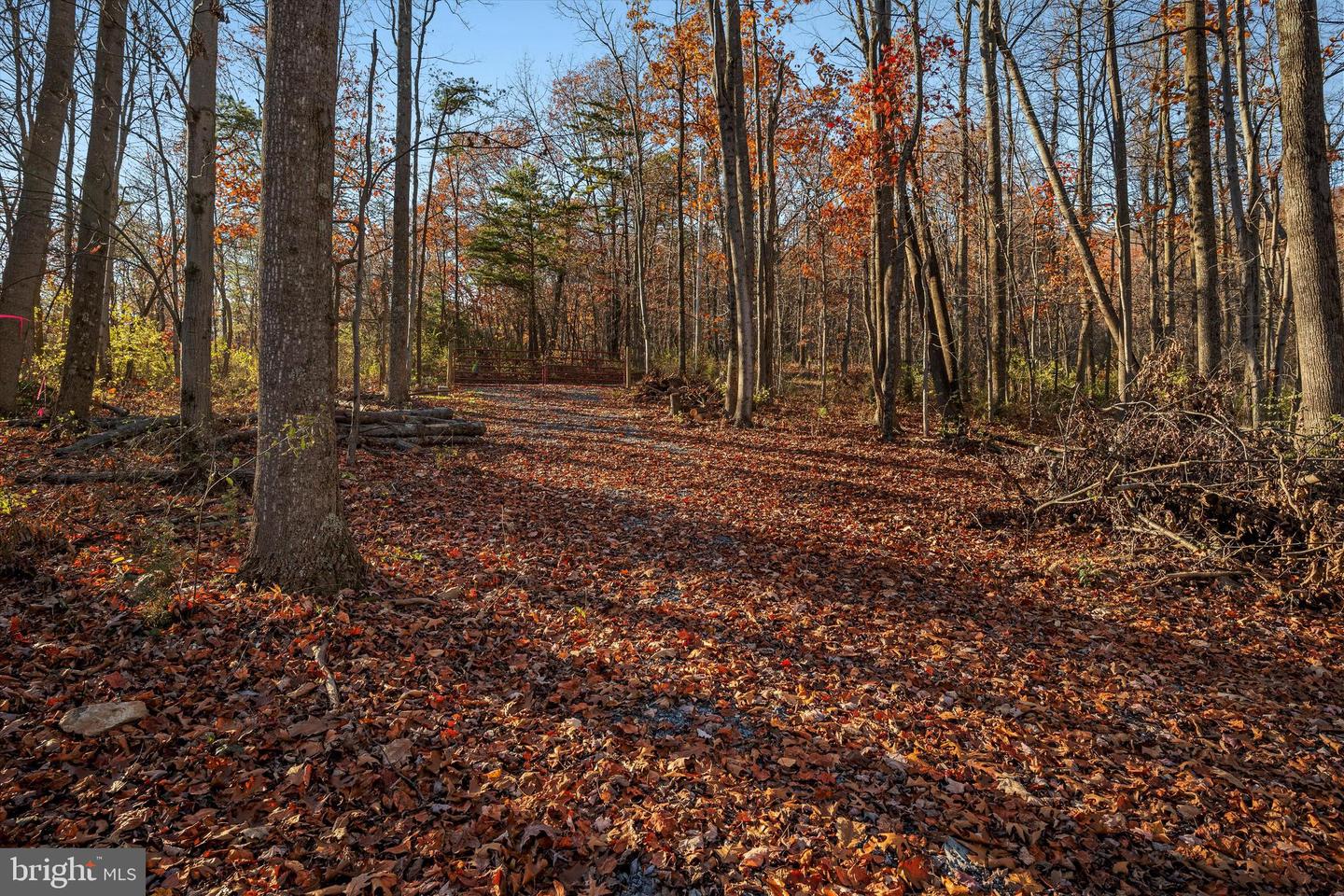 TBD LOT 1 CAPON SPRINGS GRADE, STAR TANNERY, Virginia 22654, ,Land,For sale,TBD LOT 1 CAPON SPRINGS GRADE,VAFV2022610 MLS # VAFV2022610