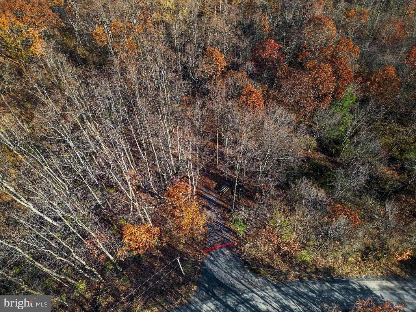 TBD LOT 1 CAPON SPRINGS GRADE, STAR TANNERY, Virginia 22654, ,Land,For sale,TBD LOT 1 CAPON SPRINGS GRADE,VAFV2022610 MLS # VAFV2022610