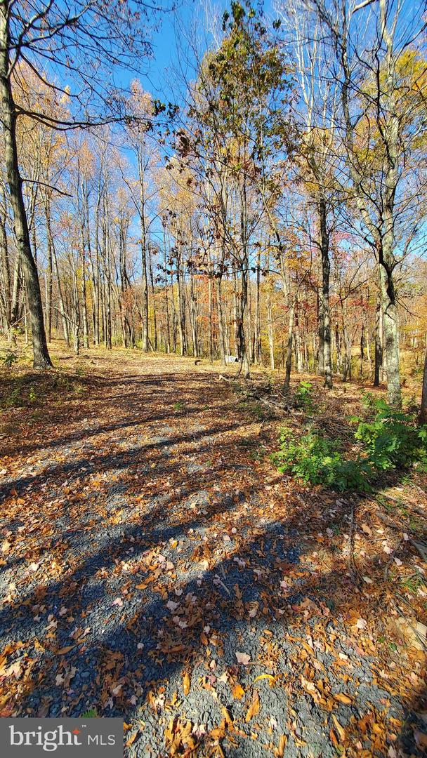 TBD LOT 1 CAPON SPRINGS GRADE, STAR TANNERY, Virginia 22654, ,Land,For sale,TBD LOT 1 CAPON SPRINGS GRADE,VAFV2022610 MLS # VAFV2022610